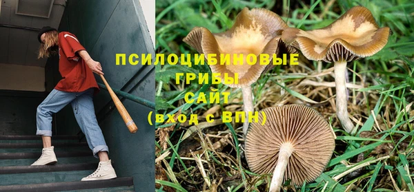 PSILOCYBIN Абинск