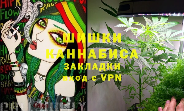 PSILOCYBIN Абинск