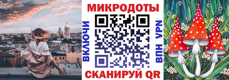 где можно купить наркотик  Новотроицк  Псилоцибиновые грибы Psilocybine cubensis 